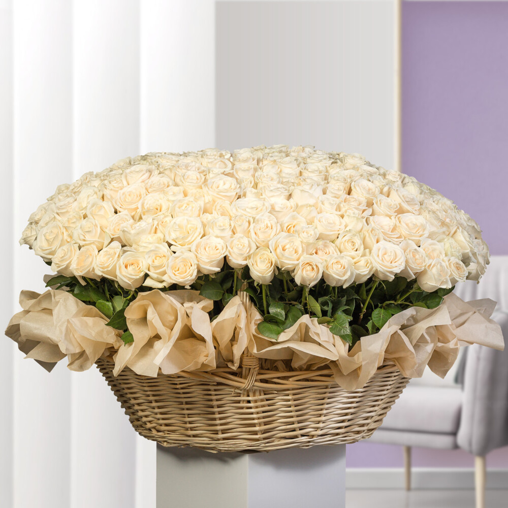 Bouquet of 333 White Roses