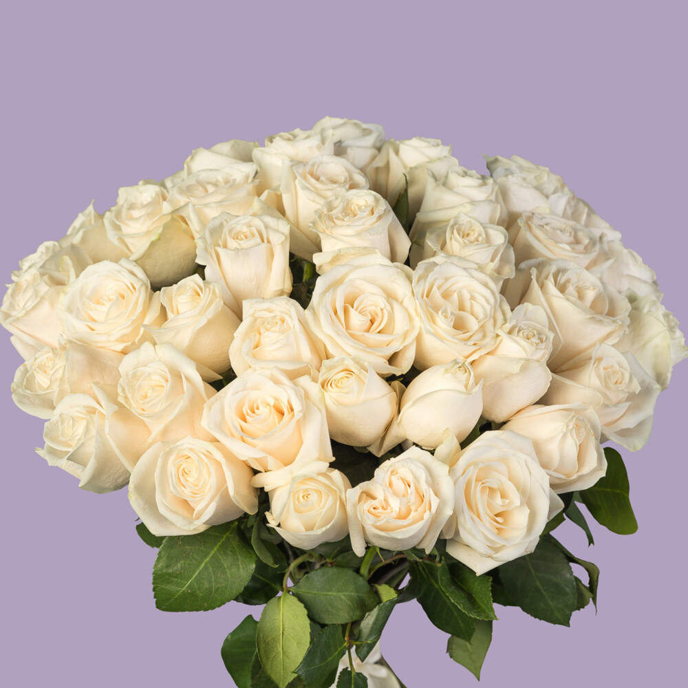 Bouquet of 51 White Roses