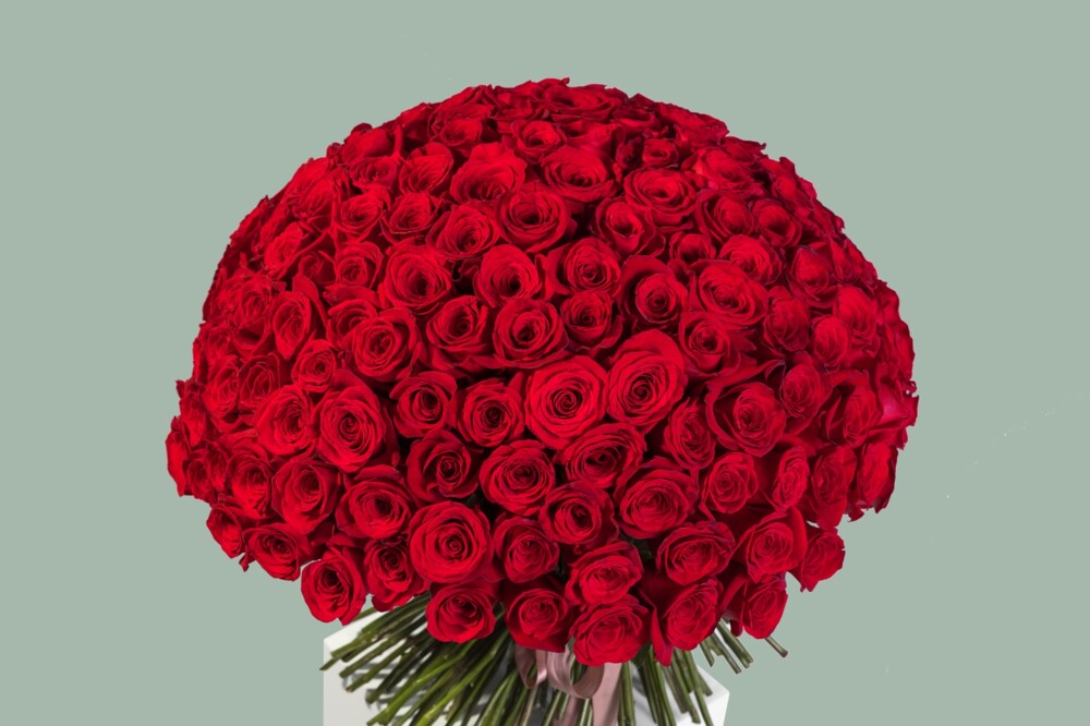 Bouquet of 201 Red Roses