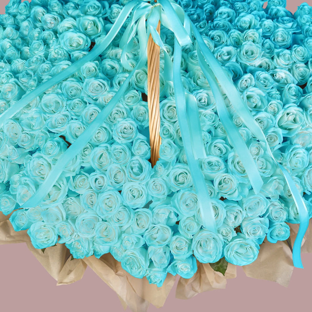 Bouquet of 555 Tiffany Roses