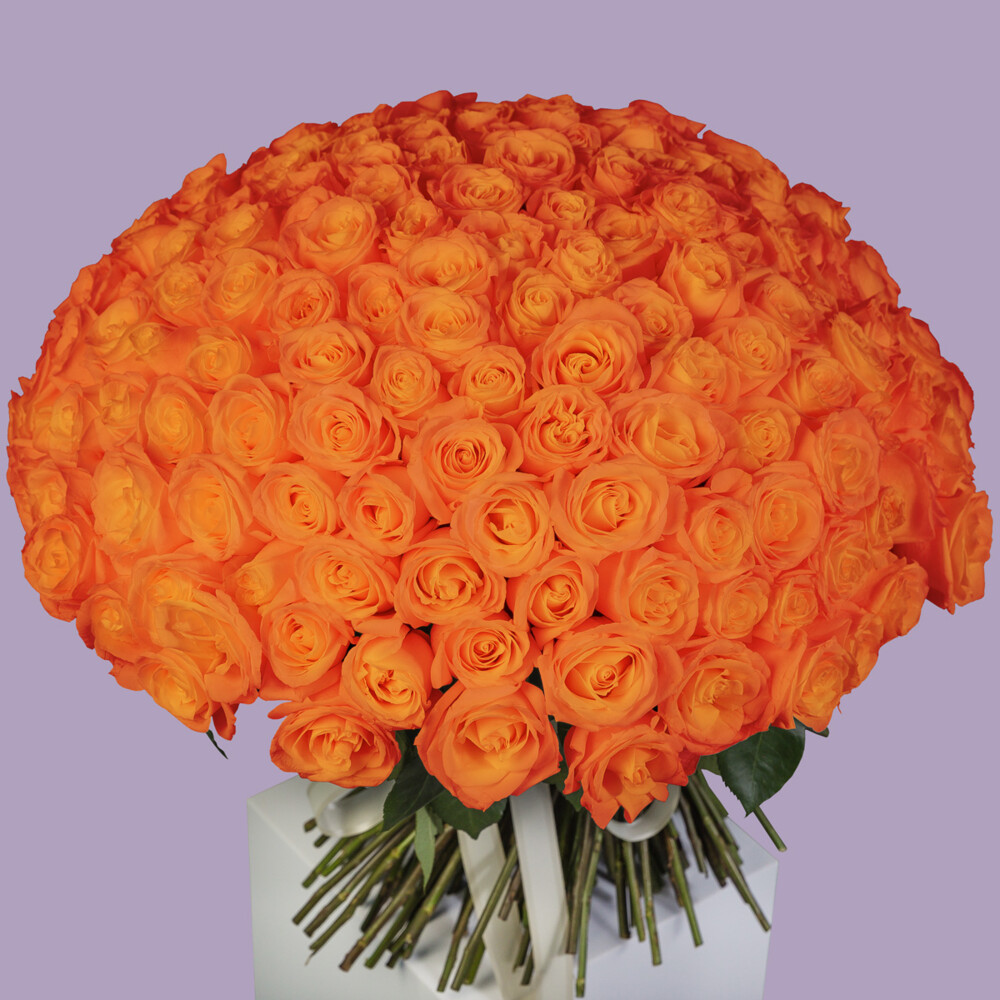 Bouquet of 201 Orange Roses