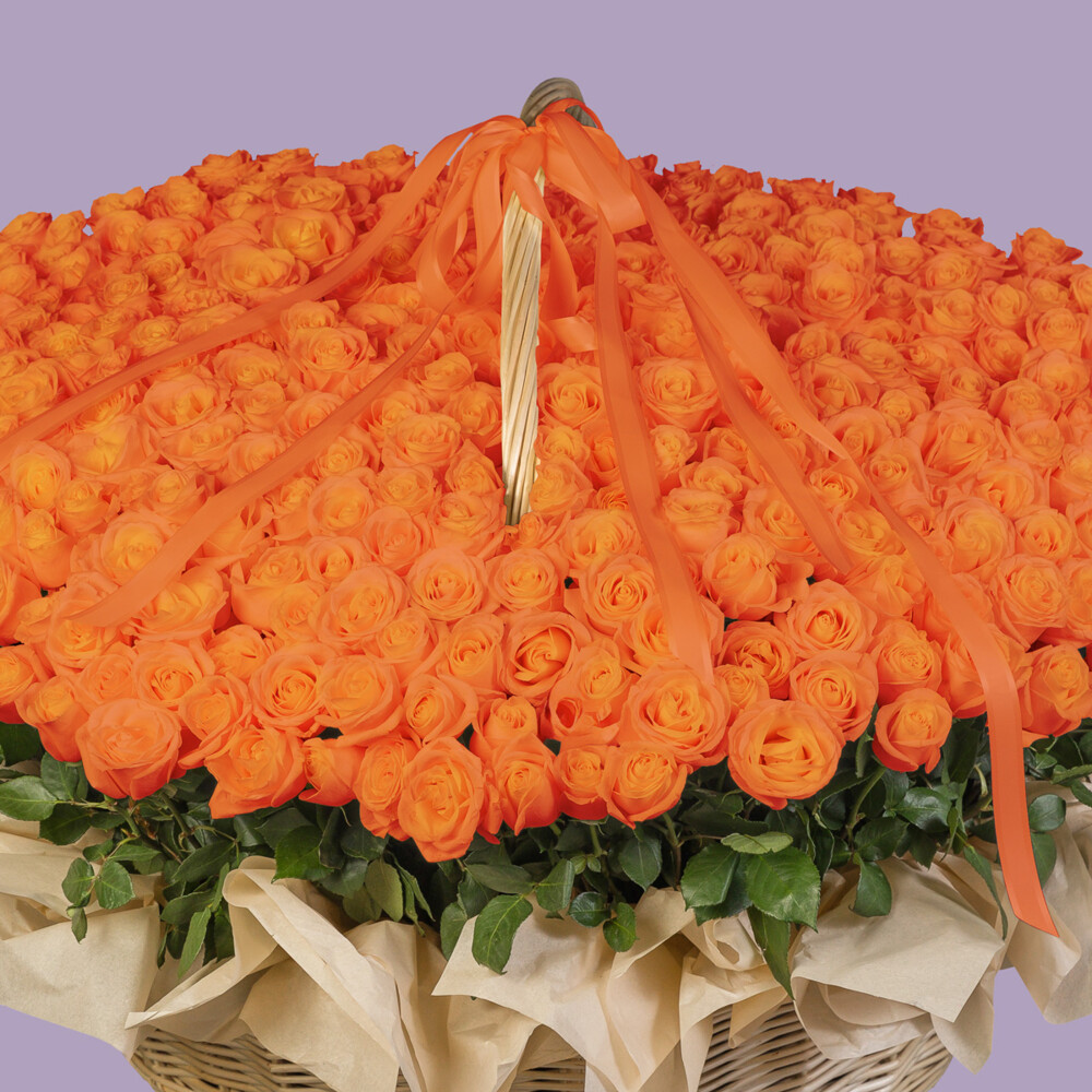 Bouquet of 555 Orange Roses