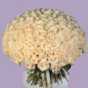 Bouquet of 201 White Roses