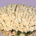 Bouquet of 333 White Roses