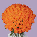 Bouquet of 101 Orange Roses