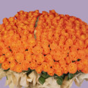 Bouquet of 333 Orange Roses