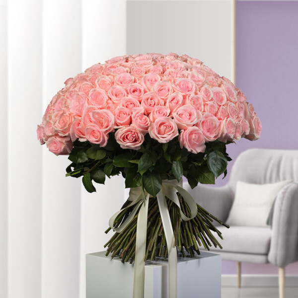 Bouquet of 201 Light Pink Roses