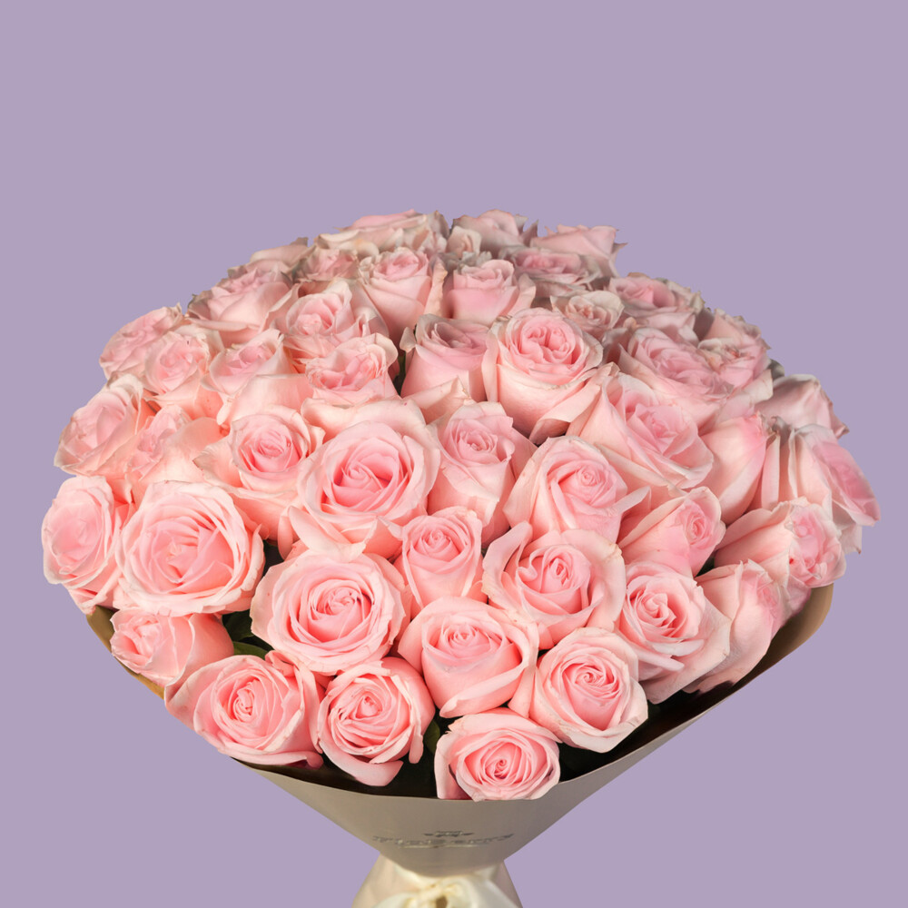 Bouquet of 51 Light Pink Roses