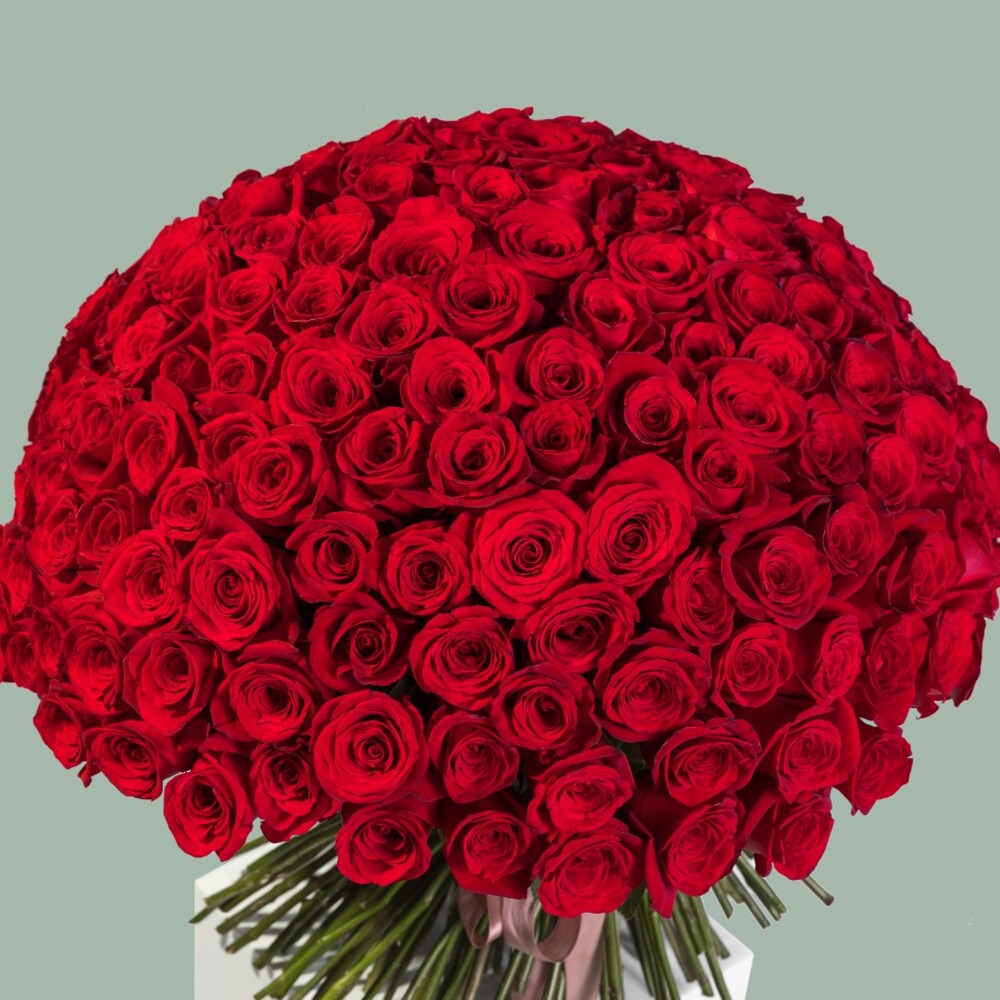 Bouquet of 201 Red Roses