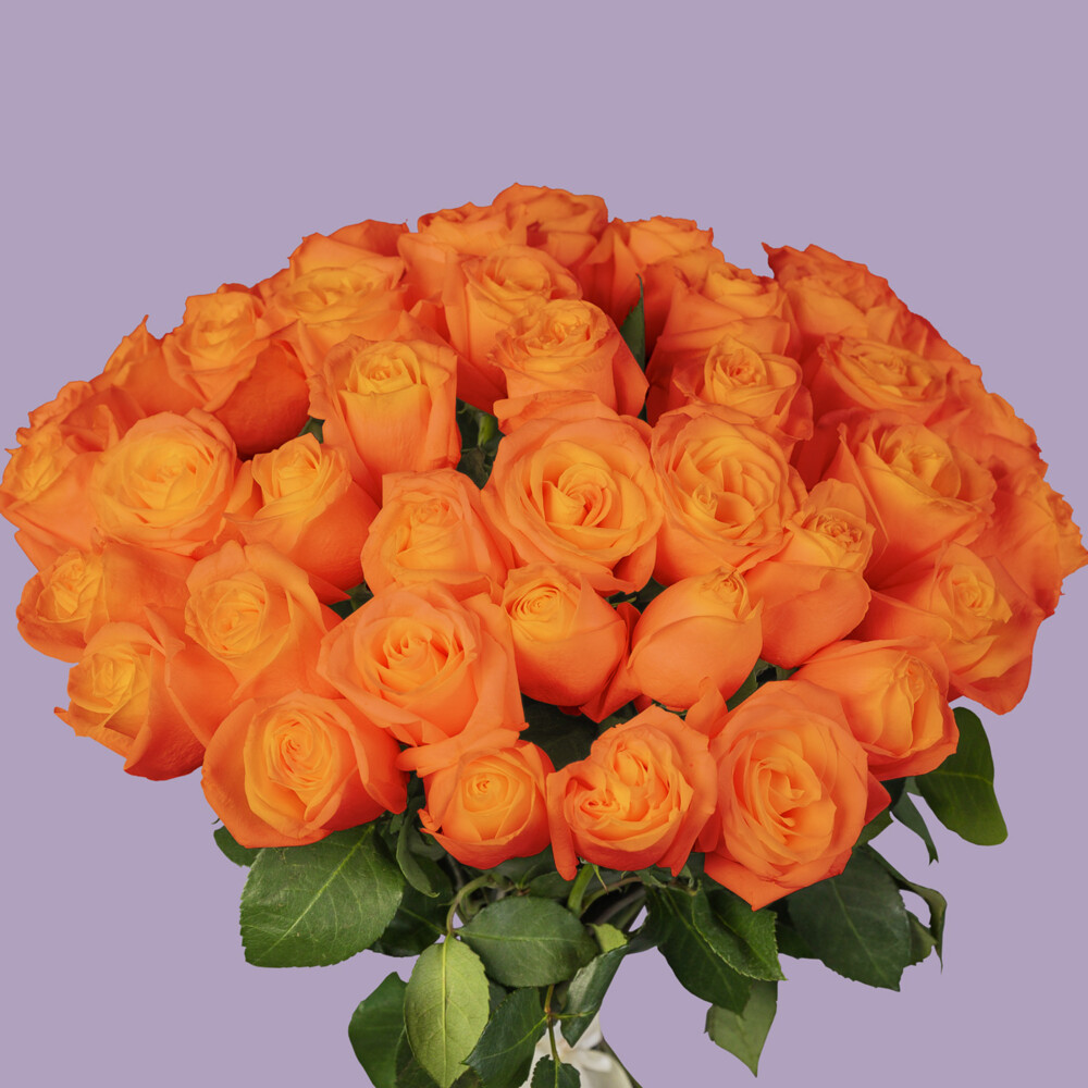 Bouquet of 51 Orange Roses