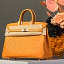 Hermès Birkin 25 Ostrich, Color Hermes 2024 Abricot
