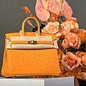 Hermès Birkin 25 Ostrich, Color Hermes 2024 Abricot