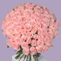 Bouquet of 101 Light Pink Roses