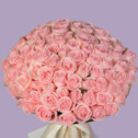 Bouquet of 101 Light Pink Roses