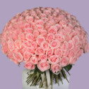 Bouquet of 201 Light Pink Roses