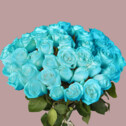 Bouquet of 51 Tiffany Roses