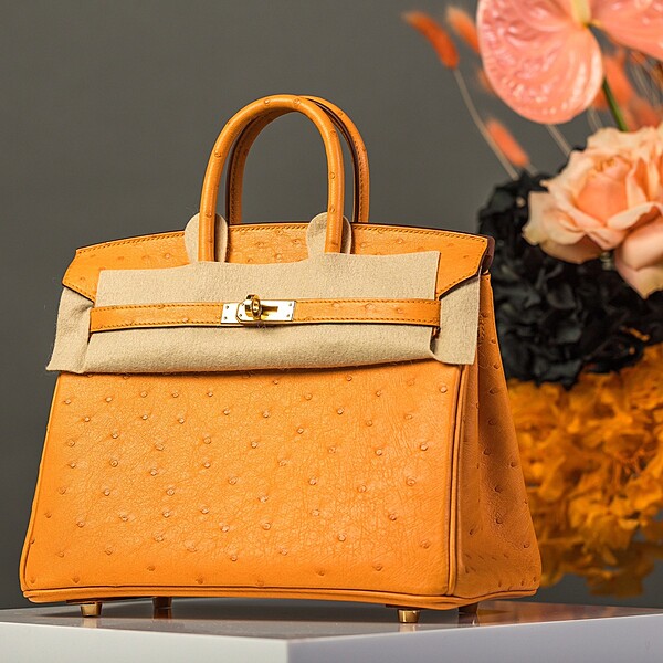 Hermès Birkin 25 Ostrich, Color Hermes 2024 Abricot