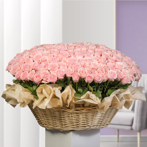 Bouquet of 333 Light Pink Roses