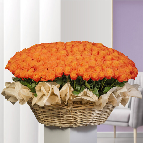 Bouquet of 333 Orange Roses